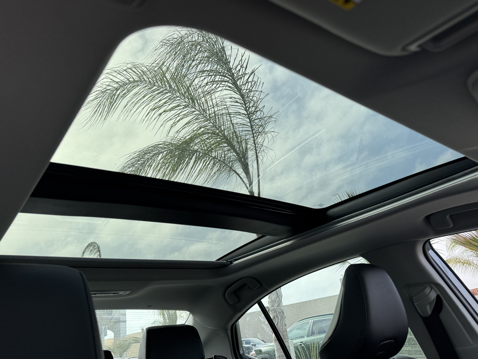 New 2026 Toyota Camry XLE w/ Premium Package FWD image 3