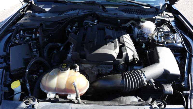 Used 2019 Ford Mustang EcoBoost Fastback w/ Black Accent Package image 21