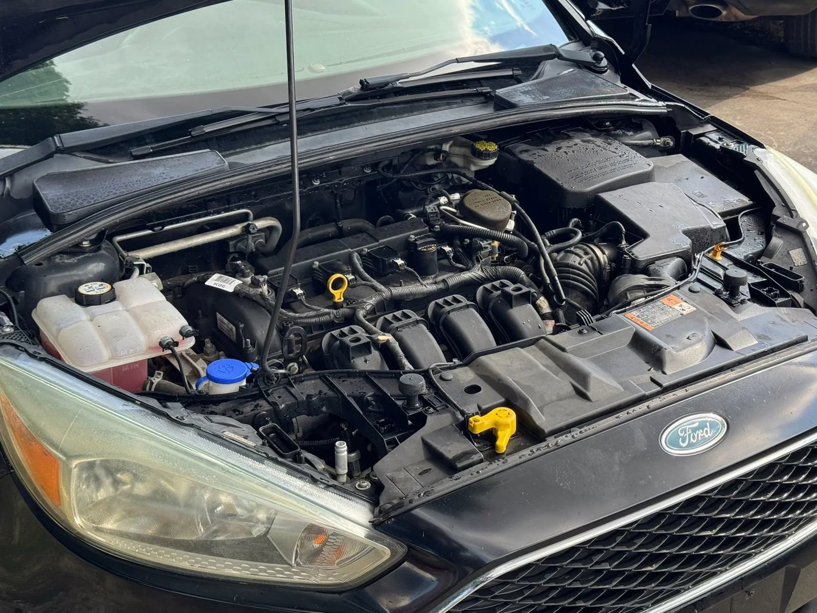 Used 2016 Ford Focus S FWD image 12