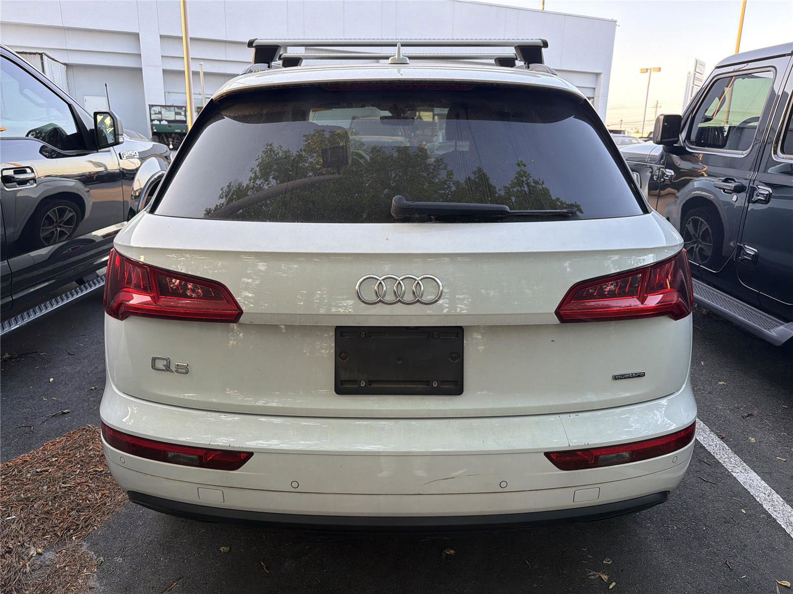 Used 2019 Audi Q5 2.0T Premium Plus w/ Premium Plus Package AWD/4WD image 5