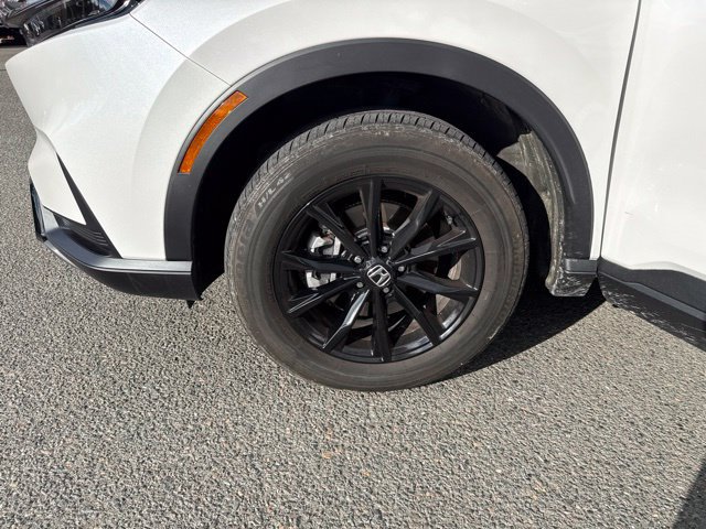 Certified 2024 Honda CR-V Sport image 14