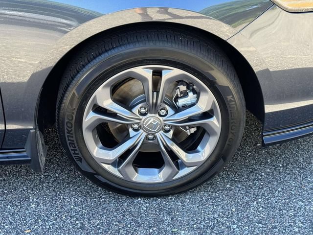 Certified 2025 Honda Accord EX-L image 7