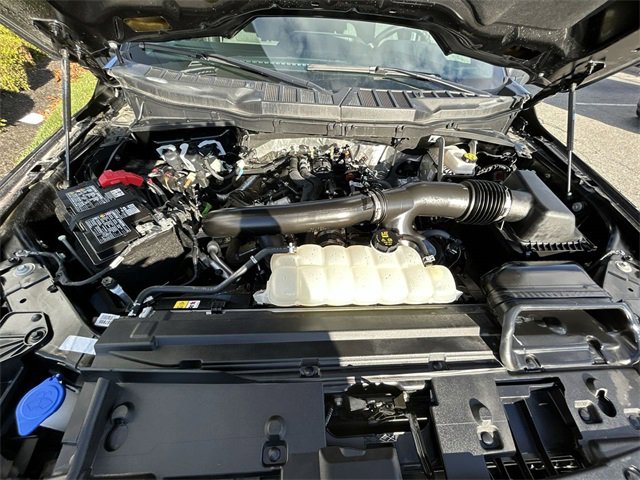 Used 2025 Ford F150 XLT w/ Equipment Group 301A Standard image 14