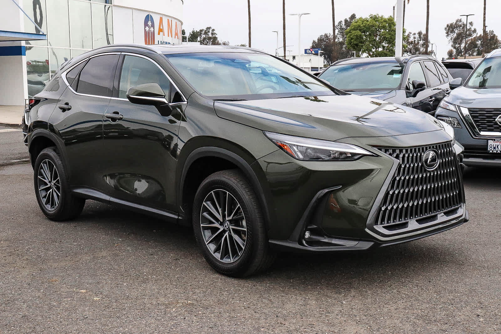 Used 2024 Lexus NX 350 AWD w/ Cold Area Package image 3