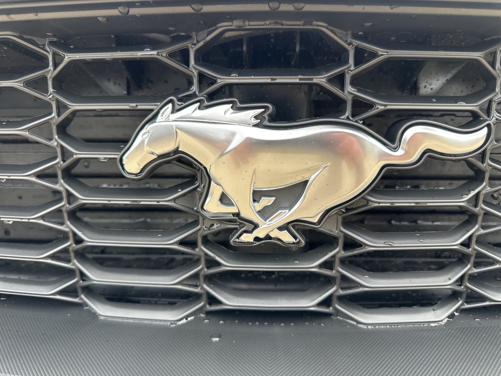 New 2026 Ford Mustang Premium RWD image 24