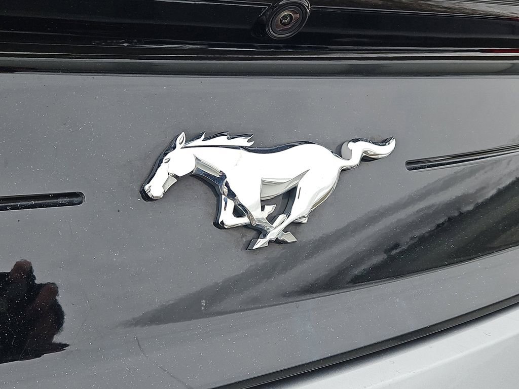 Used 2023 Ford Mustang Premium image 12