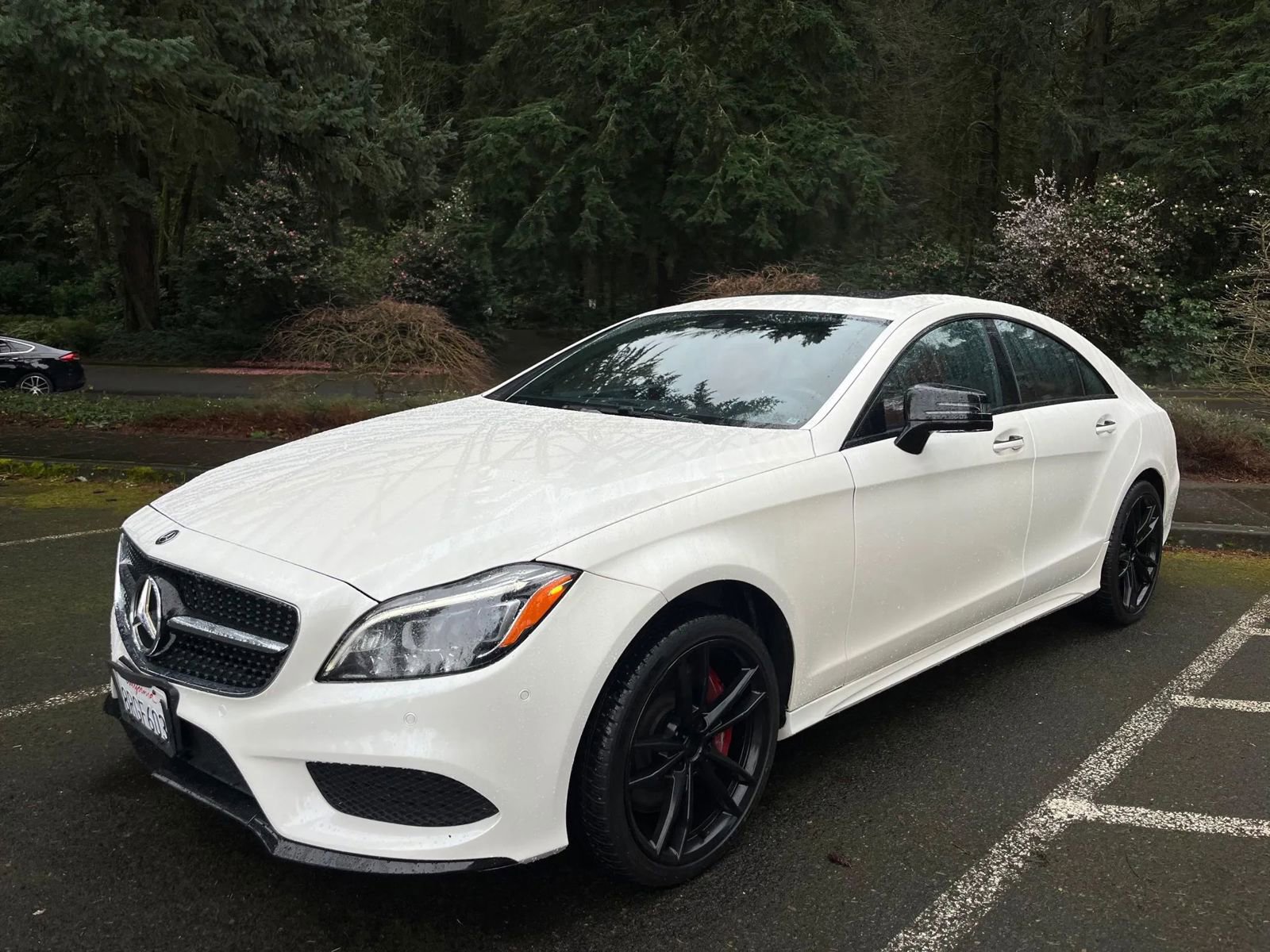 Used 2017 Mercedes-Benz CLS 550 4MATIC image 3