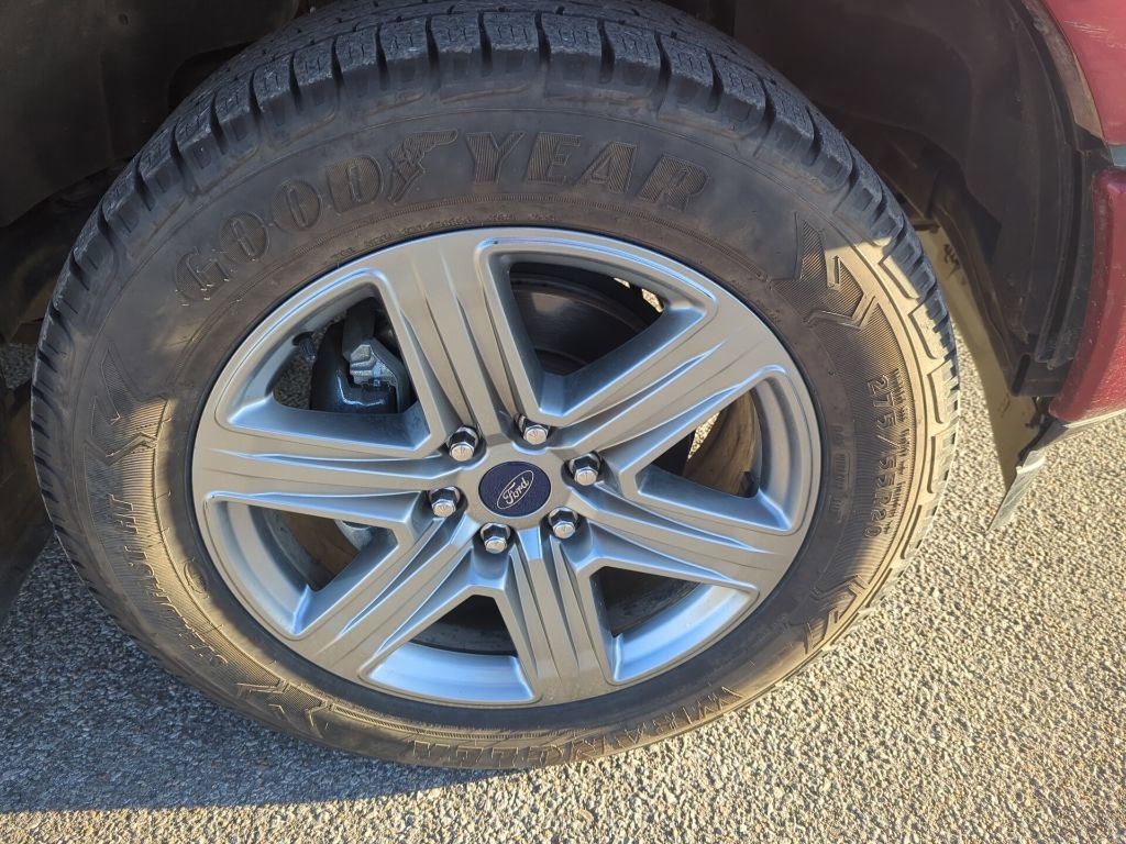 Used 2019 Ford F150 XLT w/ Equipment Group 302A Luxury image 7