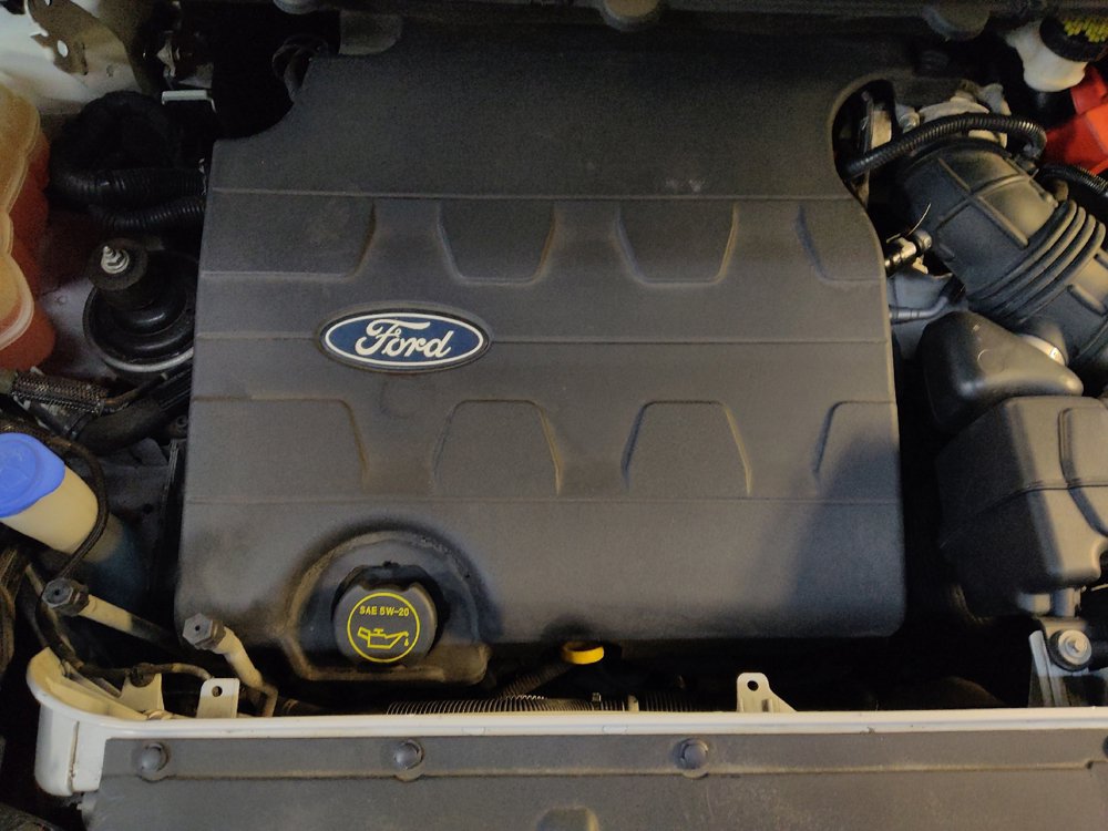 Used 2015 Ford Edge SEL w/ Equipment Group 201A FWD image 30