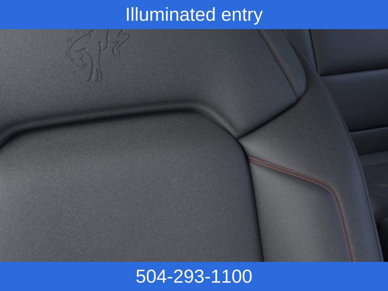 New 2025 Ford Bronco Stroppe Edition image 18