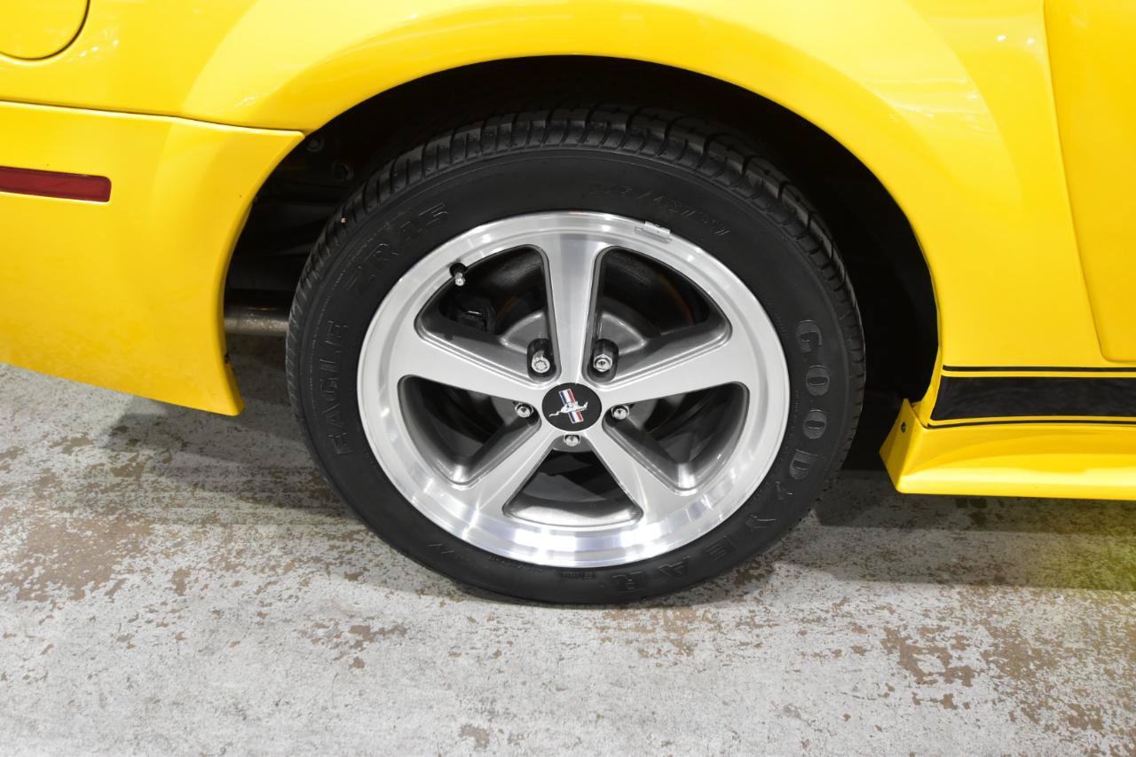 Used 2004 Ford Mustang Mach 1 RWD image 47
