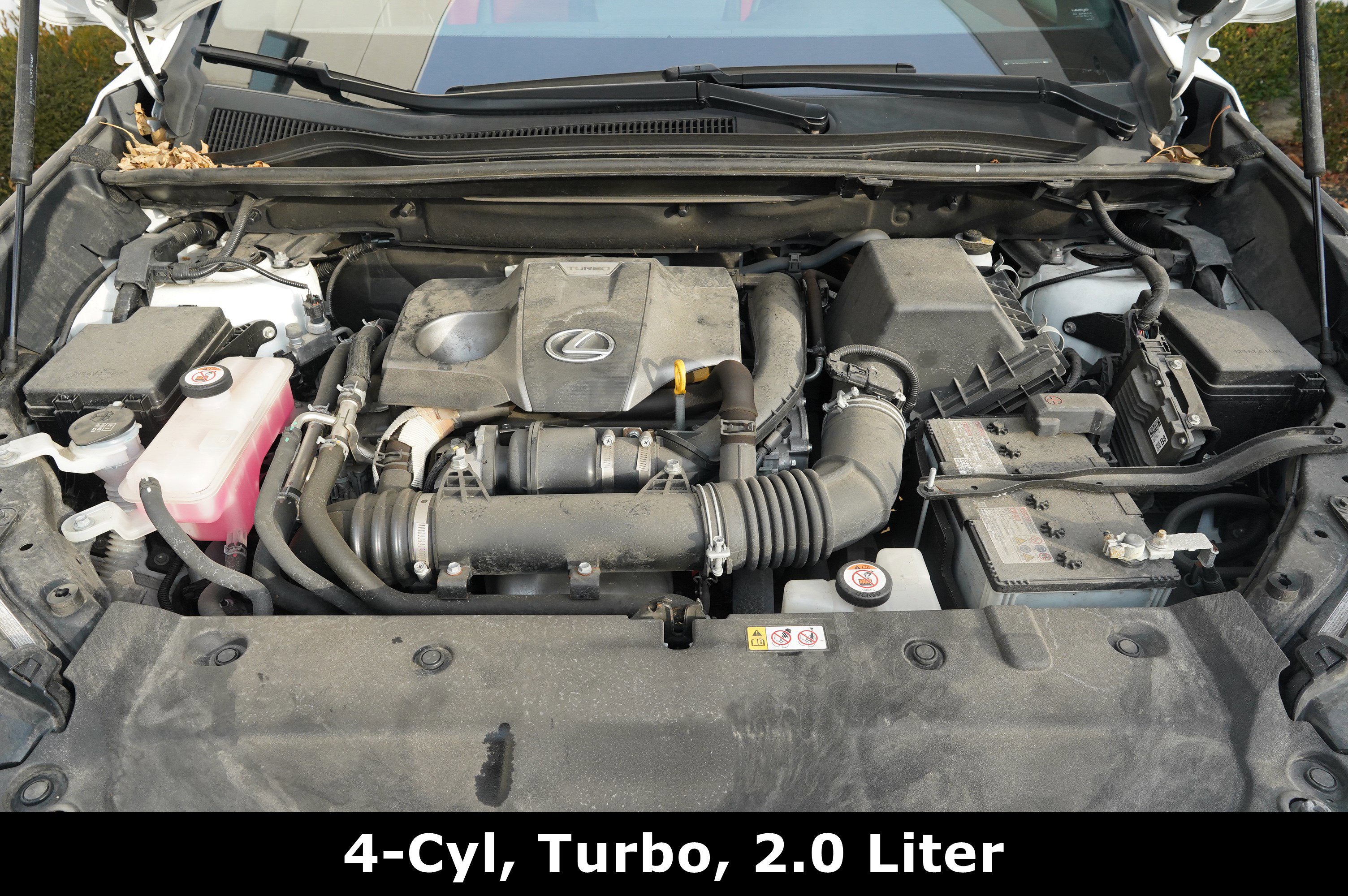 Used 2020 Lexus NX 300 F Sport image 15