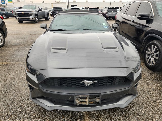 Used 2019 Ford Mustang Convertible w/ Equipment Group 101A image 2
