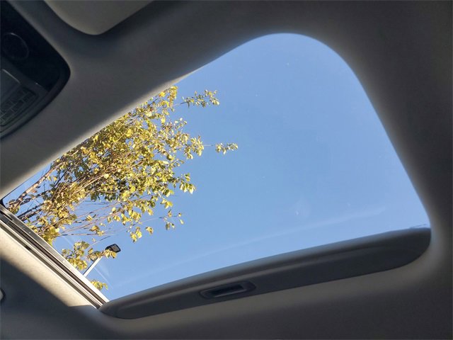 New 2026 Kia Carnival SX image 34