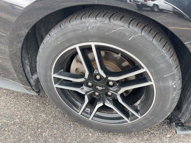Used 2021 Ford Mustang Premium RWD image 37