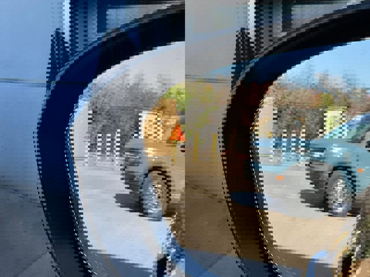 Used 2025 Nissan Rogue SV image 20