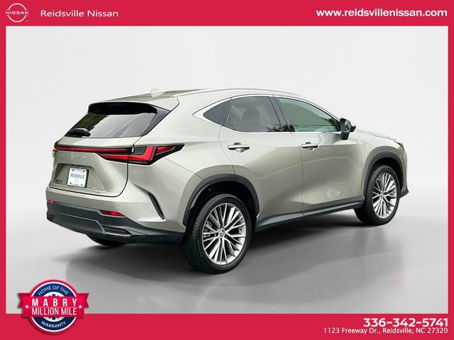 Used 2025 Lexus NX 350 AWD w/ Cold Area Package image 6