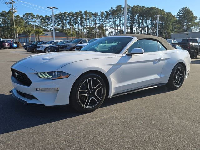 Used 2019 Ford Mustang Premium image 1