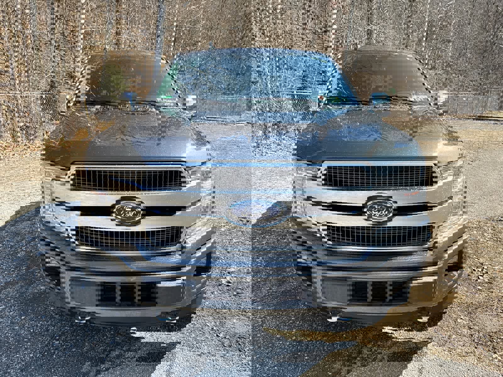 Used 2018 Ford F150 Platinum w/ Equipment Group 701A Luxury image 11