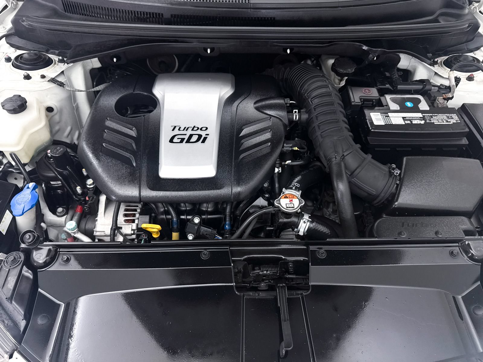 Used 2016 Hyundai Veloster Turbo R-Spec FWD image 8