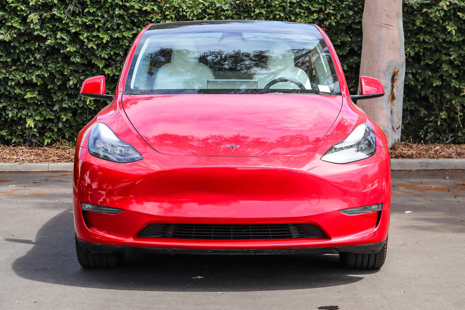 Used 2023 Tesla Model Y Long Range AWD/4WD image 2