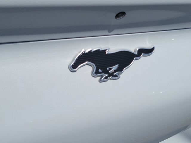 Used 2021 Ford Mustang Mach-E Premium AWD/4WD image 25