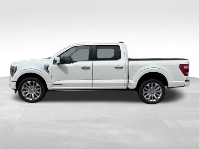 Used 2023 Ford F150 Limited AWD/4WD image 2