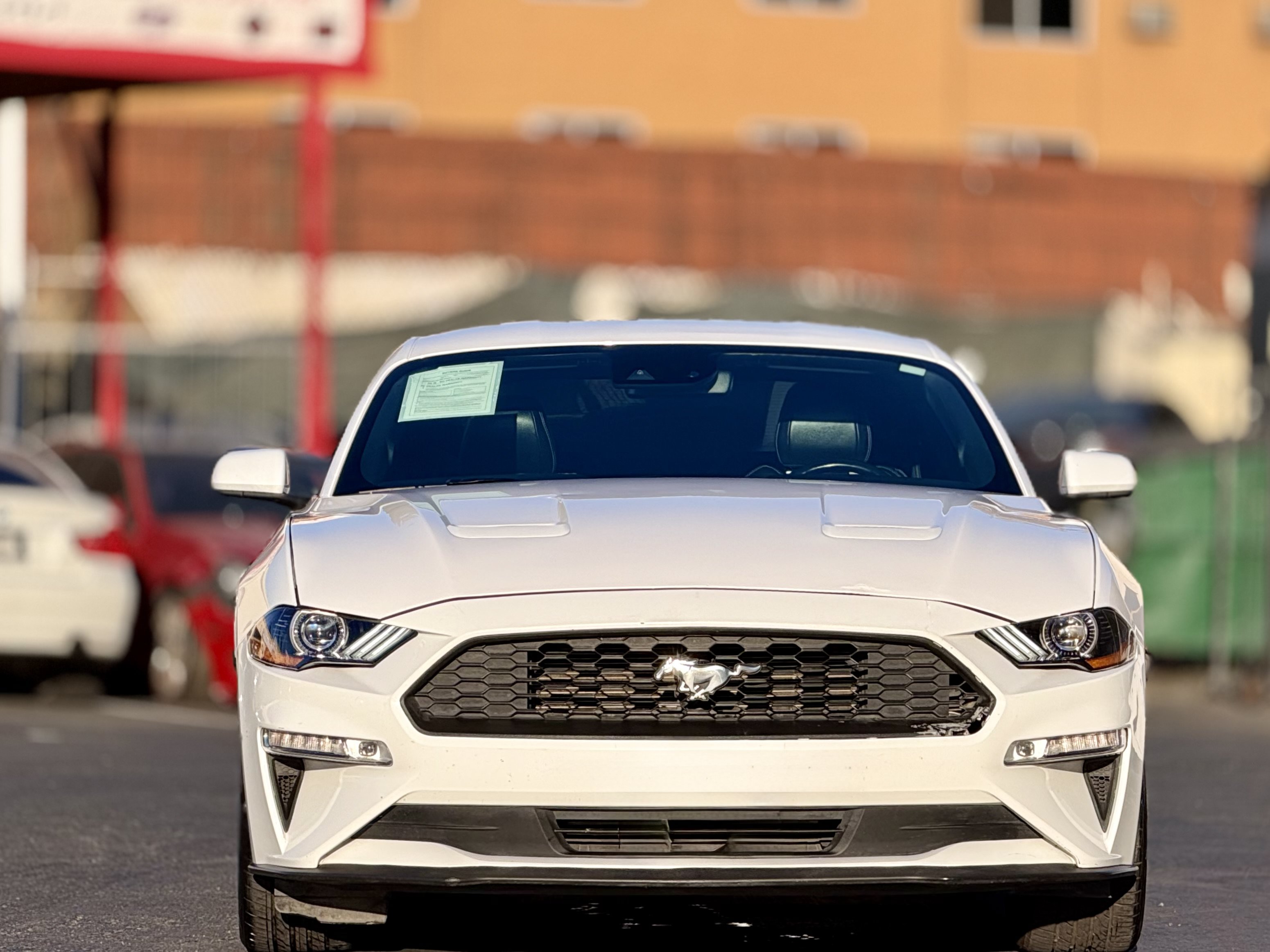 Used 2021 Ford Mustang Premium RWD image 4