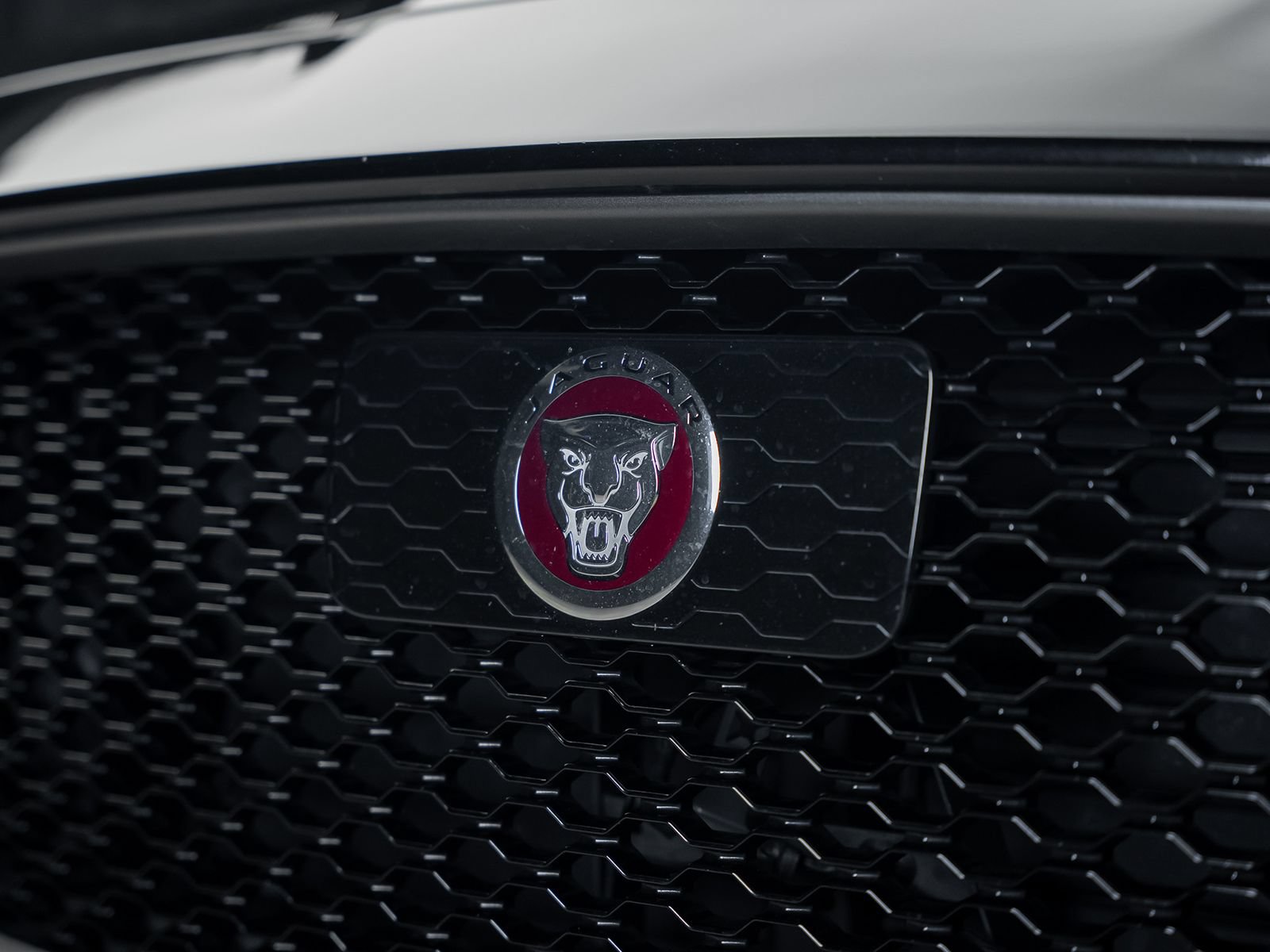 Used 2020 Jaguar F-PACE SVR AWD/4WD image 5