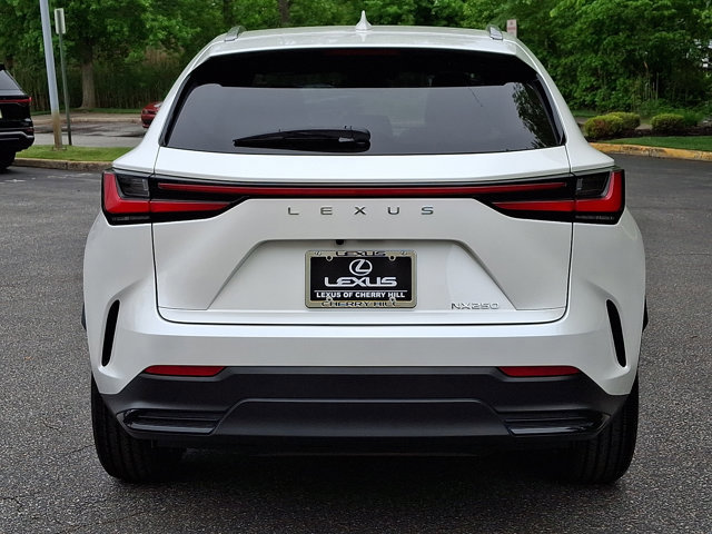 Used 2024 Lexus NX 250 FWD w/ Cold Area Package image 5