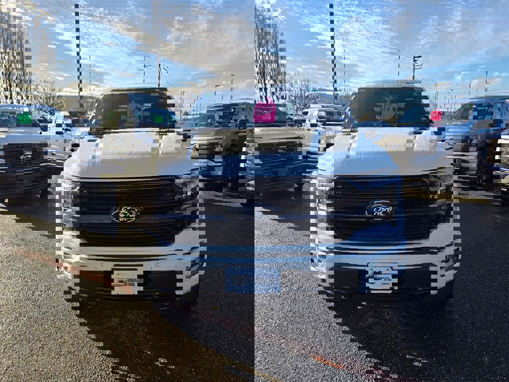 New 2025 Ford F150 Platinum image 2