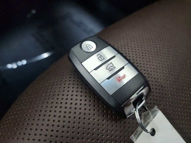 Used 2019 Kia Sorento SX image 38