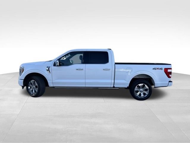 Used 2022 Ford F150 Platinum w/ Equipment Group 701A High AWD/4WD image 4