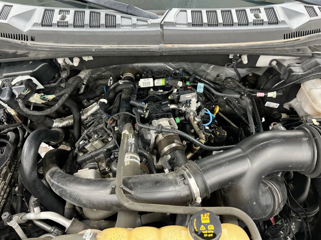 Used 2020 Ford F150 XLT w/ Equipment Group 302A Luxury AWD/4WD image 25