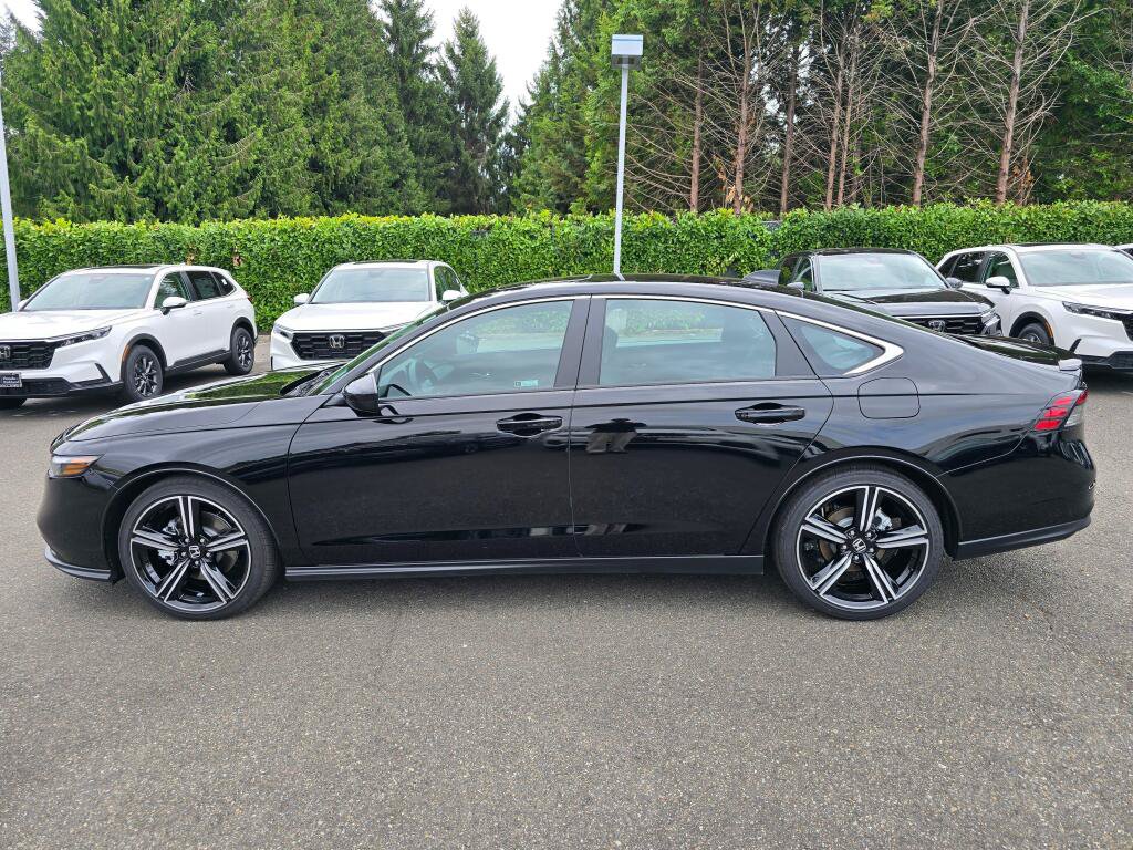 Used 2024 Honda Accord Sport image 4