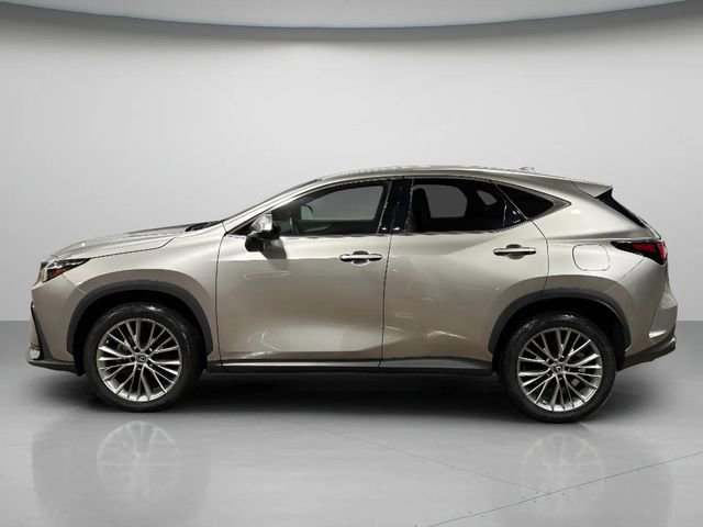 Used 2023 Lexus NX 350 AWD image 7