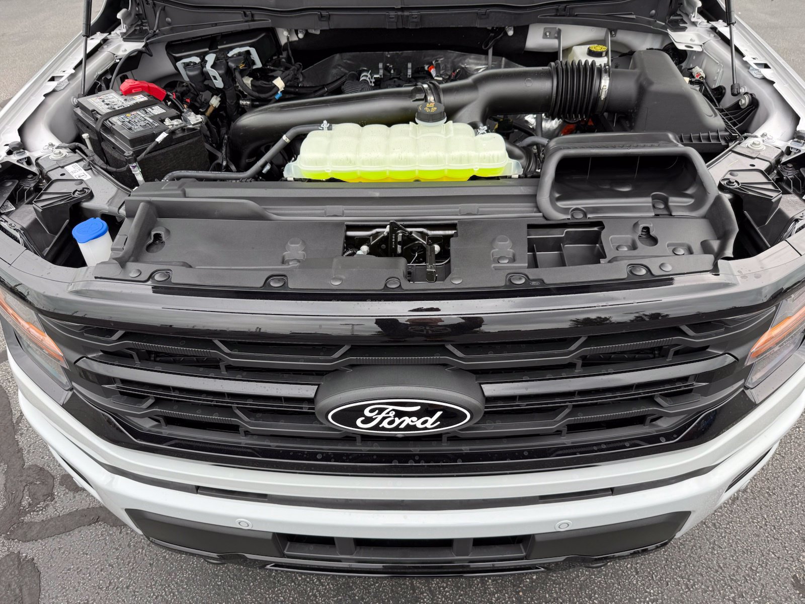New 2026 Ford F150 XLT AWD/4WD image 42