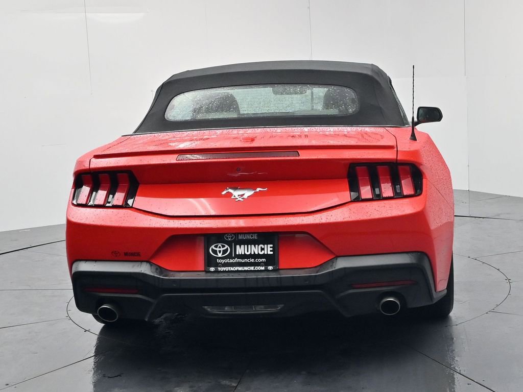 Used 2024 Ford Mustang Premium image 7