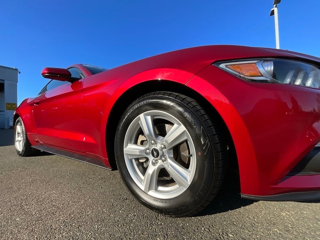 Used 2015 Ford Mustang Coupe image 9