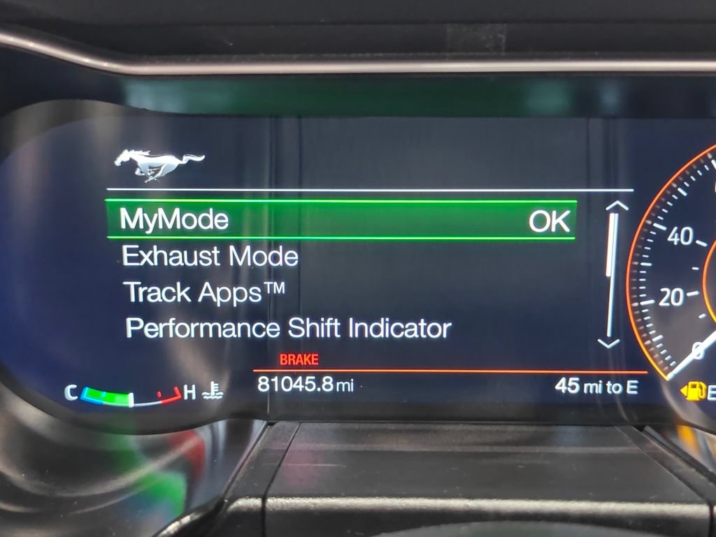 Used 2019 Ford Mustang Premium w/ Equipment Group 201A RWD image 51