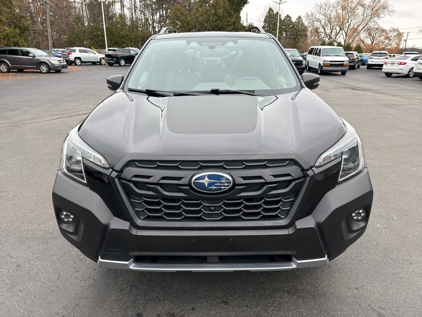 Used 2022 Subaru Forester Wilderness AWD/4WD image 8