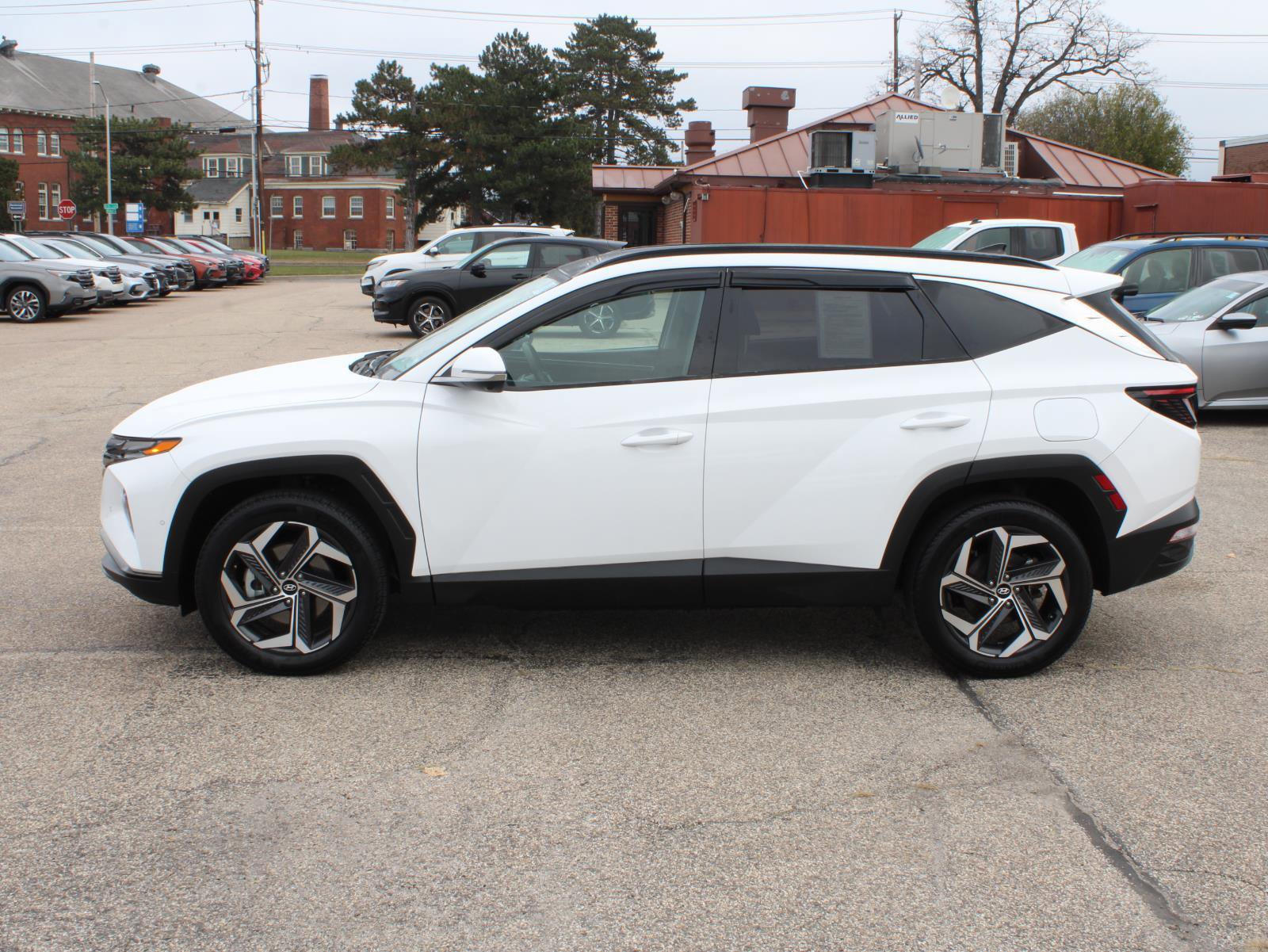 Used 2024 Hyundai Tucson Limited image 5