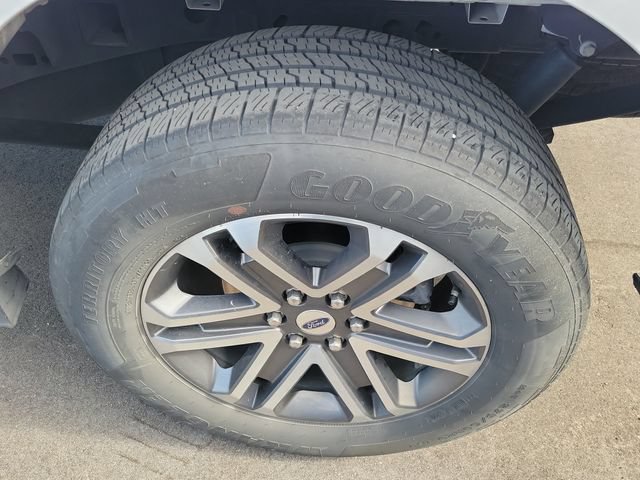 Used 2023 Ford F150 XL w/ STX Appearance Package RWD image 5