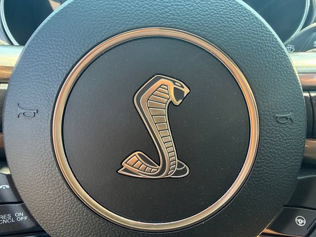 Used 2019 Ford Mustang Shelby GT350 w/ Technology Package RWD image 23