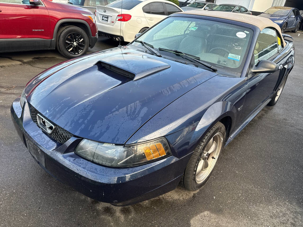 Used 2003 Ford Mustang GT