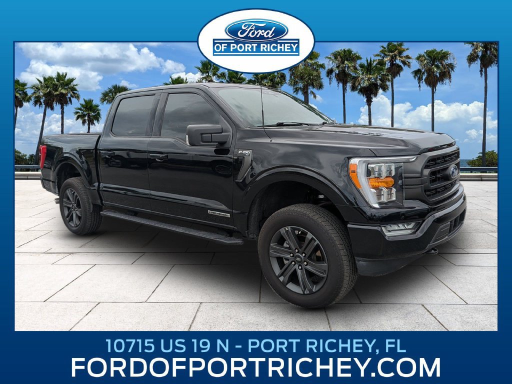 Used 2023 Ford F150 XLT w/ Equipment Group 302A High AWD/4WD image 1