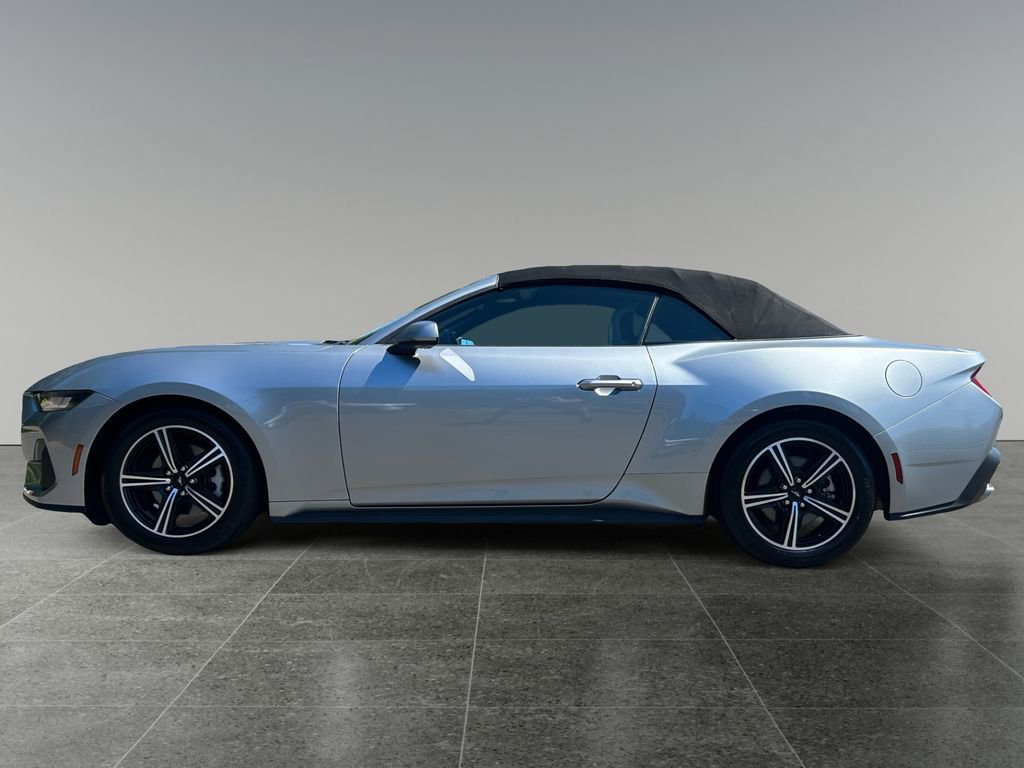 Used 2024 Ford Mustang Premium image 4