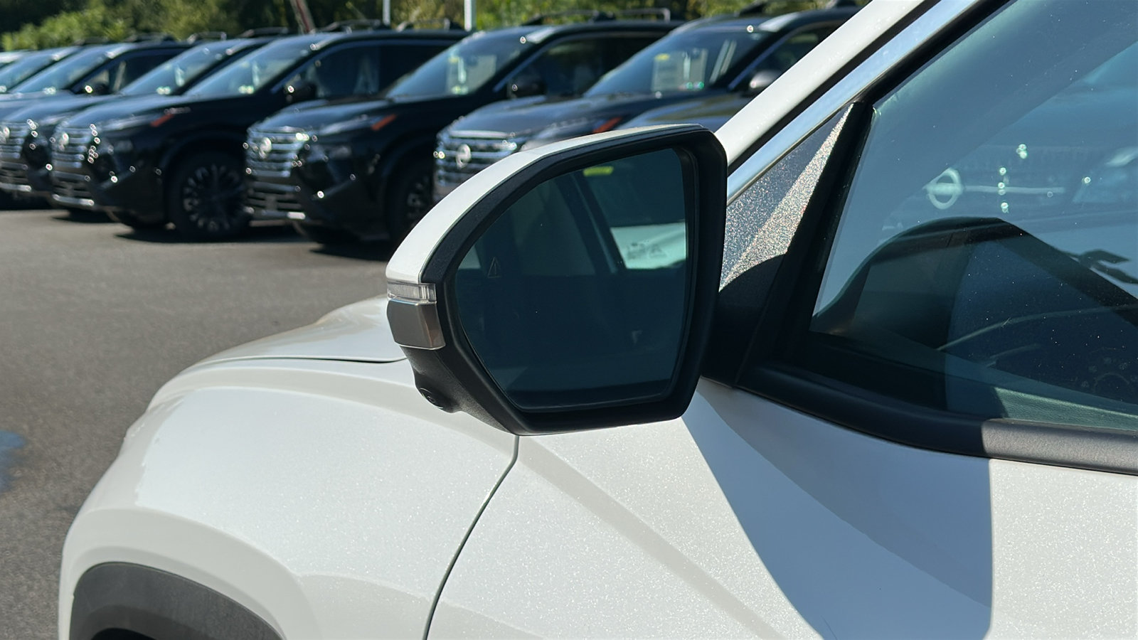 Used 2024 Hyundai Tucson Limited AWD/4WD image 12