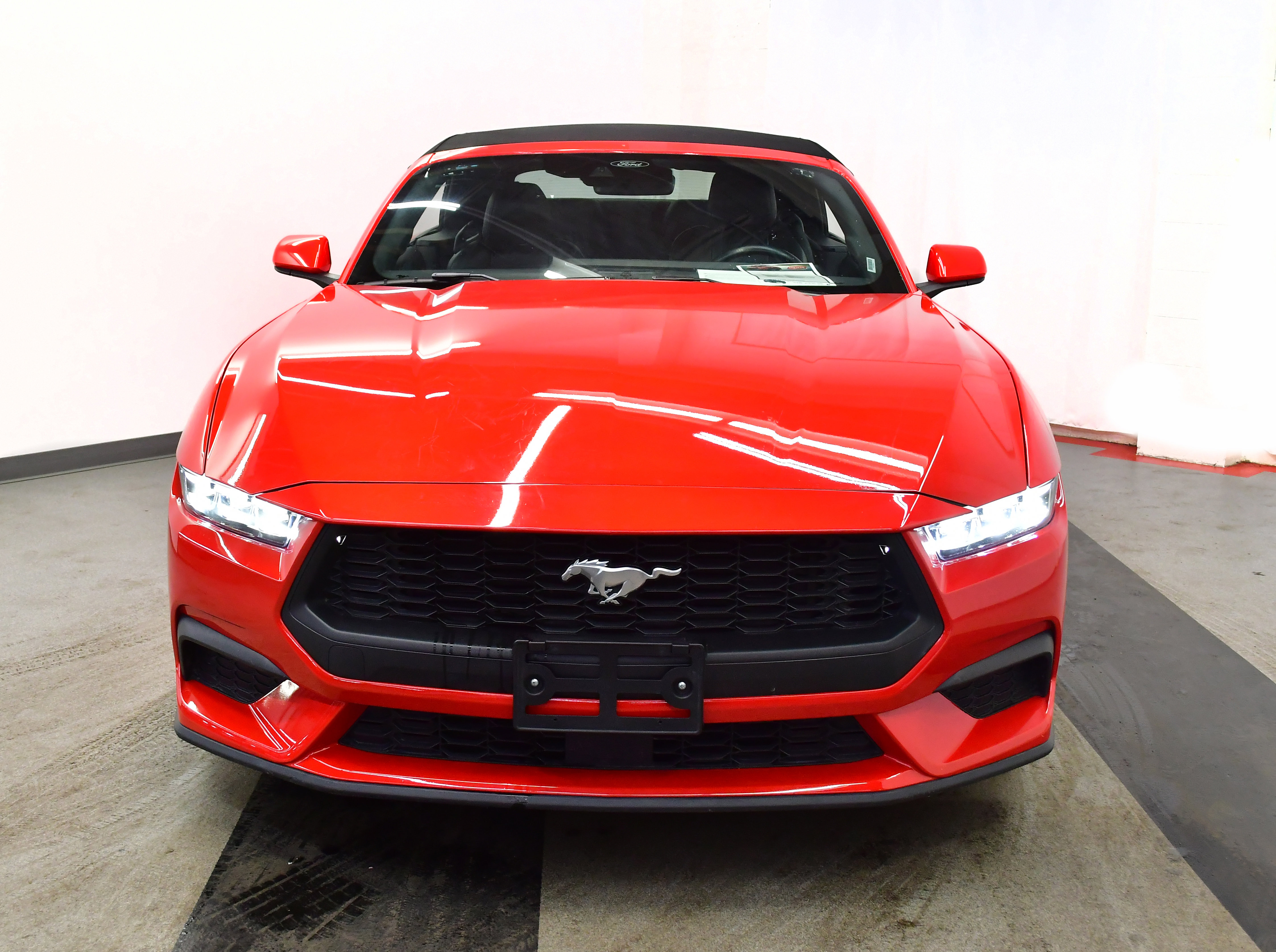 Used 2024 Ford Mustang Premium image 5