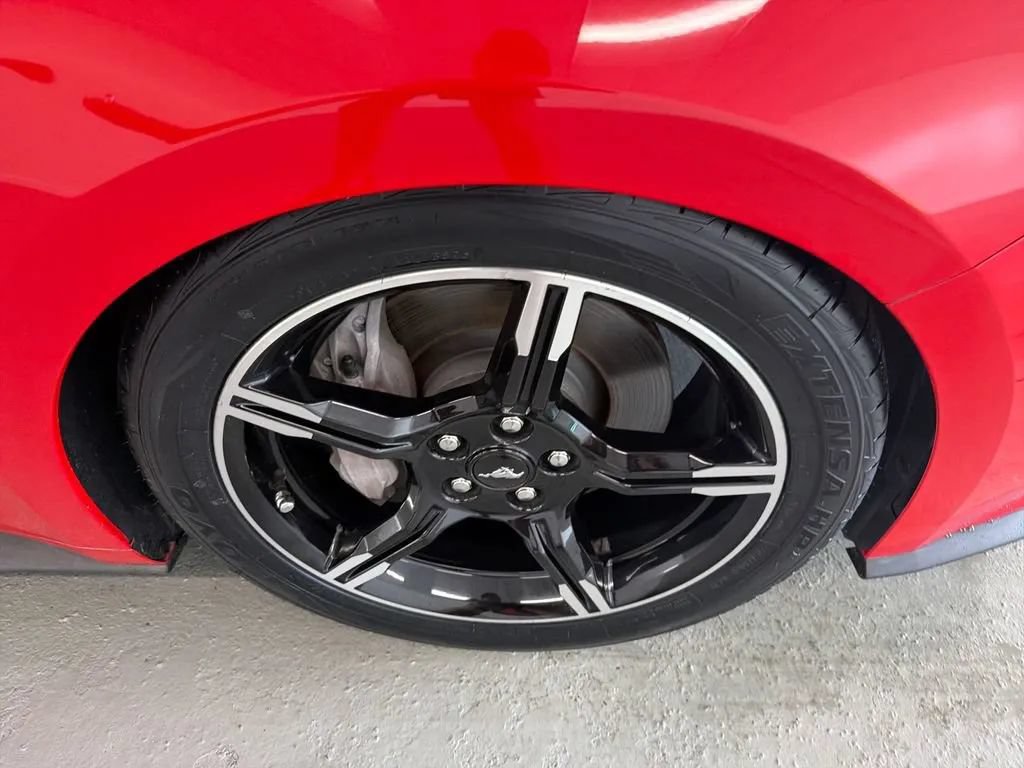 Used 2019 Ford Mustang GT Premium w/ Equipment Group 401A RWD image 4